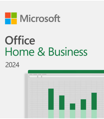 Microsoft Office Home and Business 2024